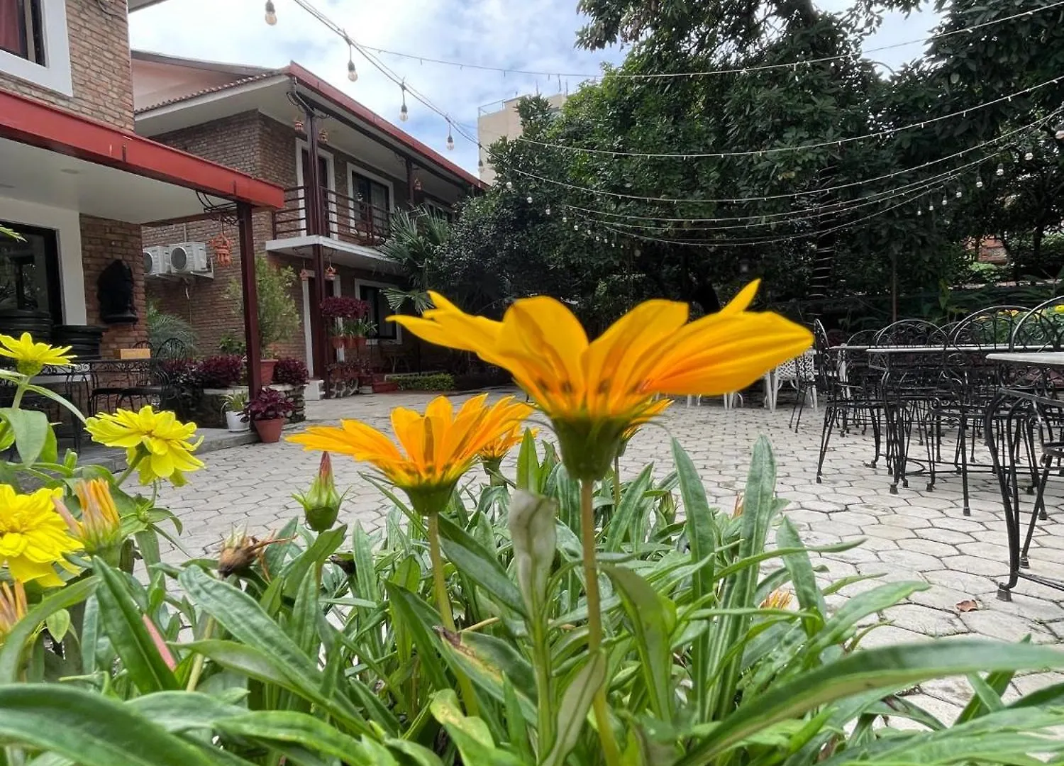 קטמנדו Nepal Cottage Resort